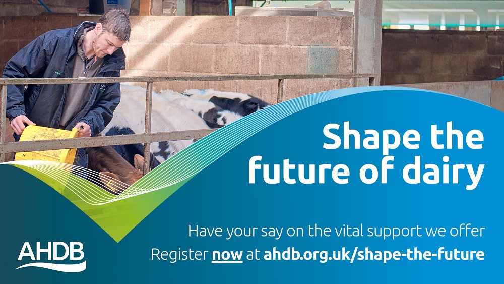 Shape the future of dairy banner